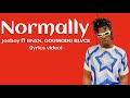 Joeboy - Normally ft BNXN fka Buju, ODUMODU BLVCK (lyrics video)