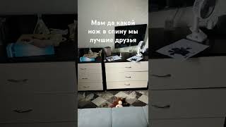 3 июня 2025 г.