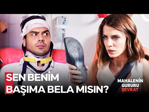 En Büyük Aşklar Kavga İle Başlar - Şevkat Yerimdar