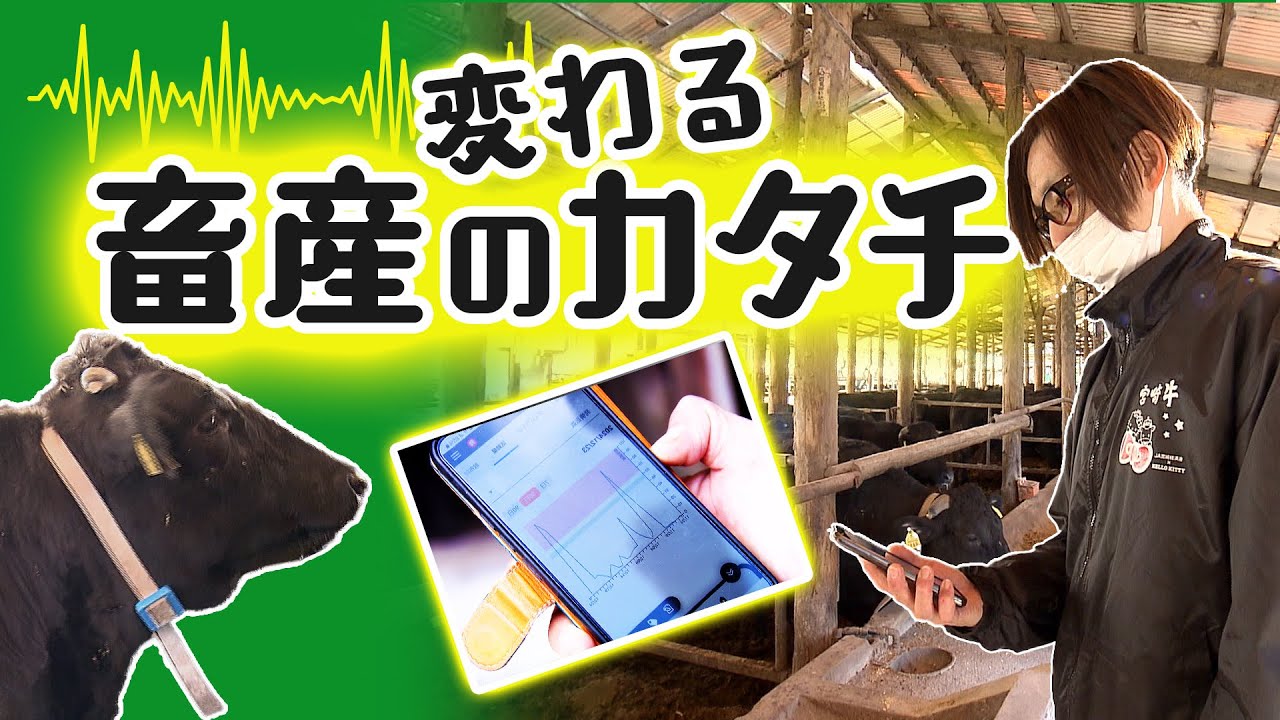 変わる畜産のカタチ