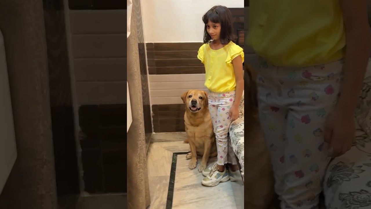 Ice and water game with leo😂 