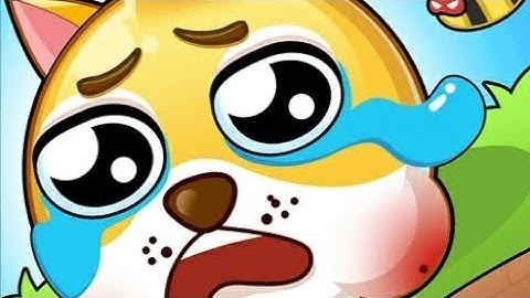 Save the doge Answer |  level 200 - 300