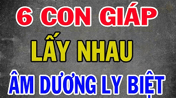 6 Cặp Con Giáp XUNG KHẮC Lấy Nhau Nghèo 3 Đời, Càng Làm Càng Nghèo, Âm Dương Ly Biệt