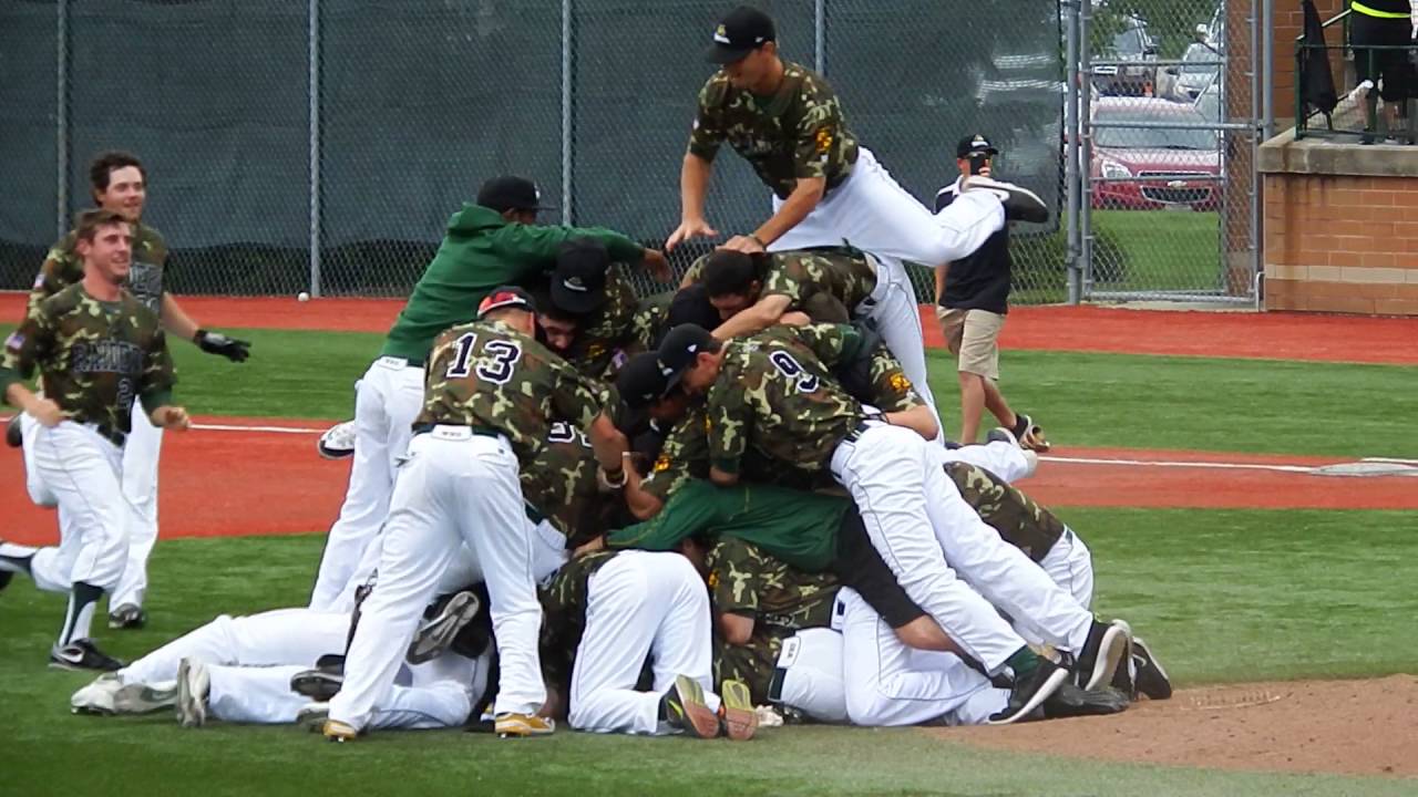Dog Pile Dog Pile