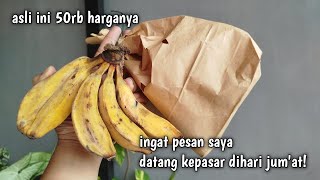 Download Lagu KALAU SOAL HOKI BELI BURUNG OMBYOKAN, SEPERTINYA TIDAK ADA YANG BISA NGALAHIN SAYA😃‼️ini buktinya MP3 Download Lagu KALAU SOAL HOKI BELI BURUNG OMBYOKAN, SEPERTINYA TIDAK ADA YANG BISA NGALAHIN SAYA😃‼️ini buktinya MP3