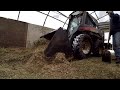 OUR VEGETABLE FARMS WINTER CHORES