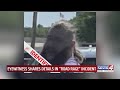 Eyewitness shares details in "road rage" incident