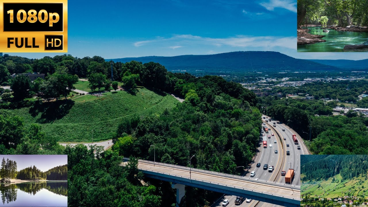 Beautiful Relaxing Music Stress Relief Soothing Music Nature Sound & Calm | Stop Anxiety, 🌼