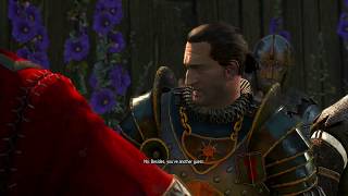 Witcher 3 [6]