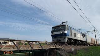 JR貨物 東海道本線 1055レ EF210-123号機 2021.10.09