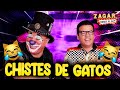 Zagar - Chistes de Gatos / Platanito Show