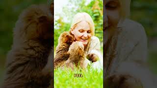 You’re not just browsing🐶 You’re imagining the walks, the routines, the way your home would feel