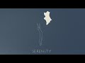 Rakoon - SERENITY