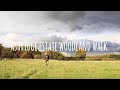 National trust ashridge autumn estate walk in buckinghamshire