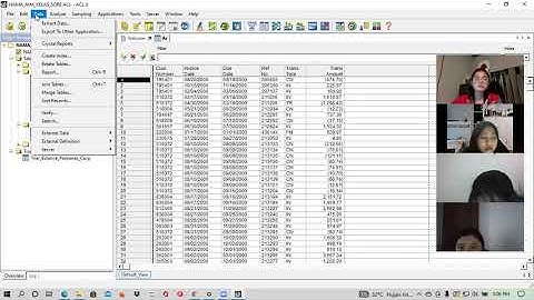 Lab Audit - Audit Command Language - ACL - Relation & Summarize