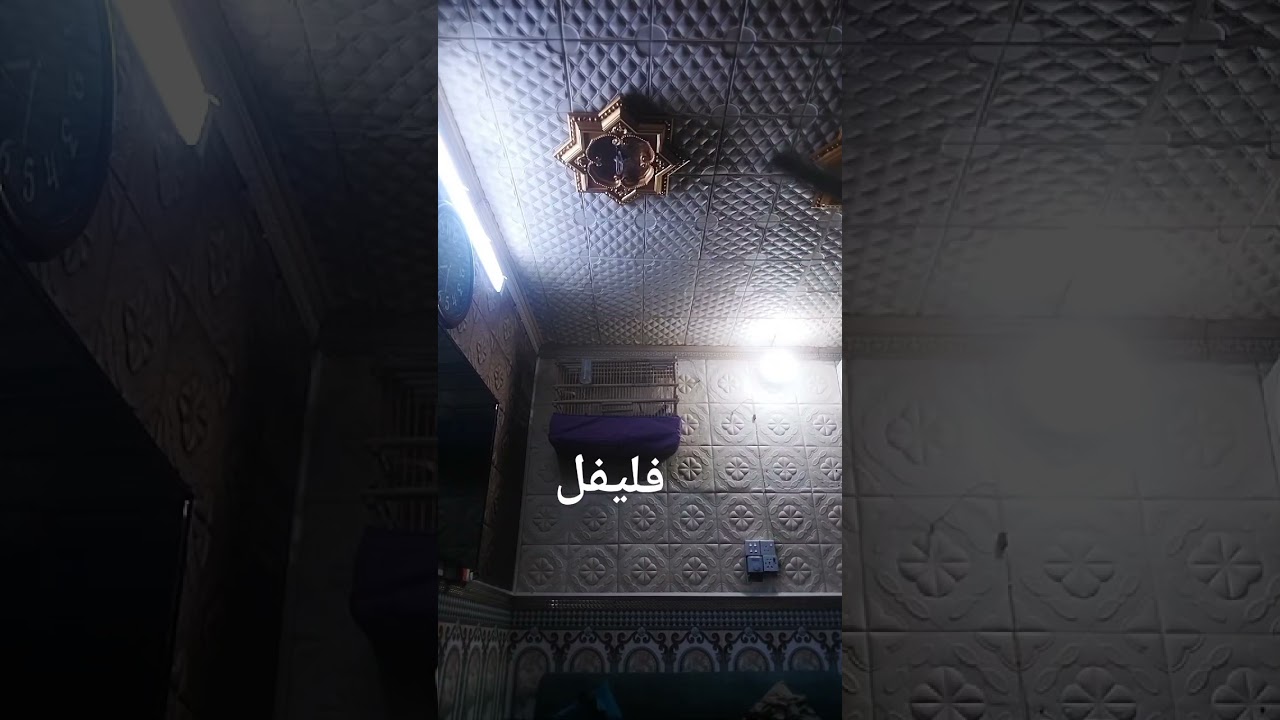 احد ابطال بصره طور سيحاني 