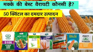 मक्के की बेस्ट वैरायटी | 50 क्विंटल उत्पादन | Best varieties of maize in india #maize #corn #variety