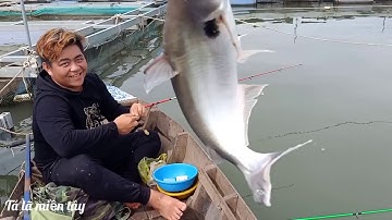 Câu cá sông tiền. Làng bè Bình Thạnh