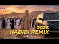 🌴 Emerald Nights – Arabic Deep House 💎 Habibi Dream Mix