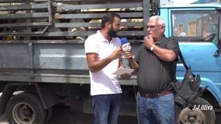 FERIA DE GANADO, SAN JUAN DE TELDE 2016.J.J.OLIVA