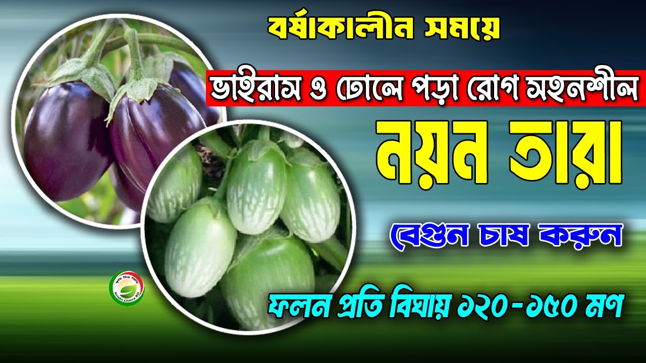 Qopol jinsiy aloqa paytida vahshiyona qichqiradi