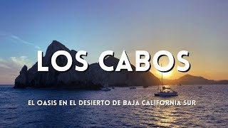 🔥 LOS CABOS, México ¡Qué lugar tan HERMOSO! ¿Qué hacer en el súper destino de BCS? Baja SUR