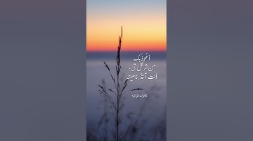 #تلاوة_خاشعة #اكسبلور #المصحف #راحة_نفسية #الله #تلاوة_هادئة #لايك #صلو_عليه #قران_كريم #قرآن