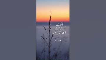 #تلاوة_خاشعة #اكسبلور #المصحف #راحة_نفسية #الله #تلاوة_هادئة #لايك #صلو_عليه #قران_كريم #قرآن