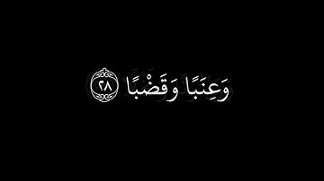 سورة عبس كاملة | القارئ احمد العجمي | كرومات شاشة سوداء.