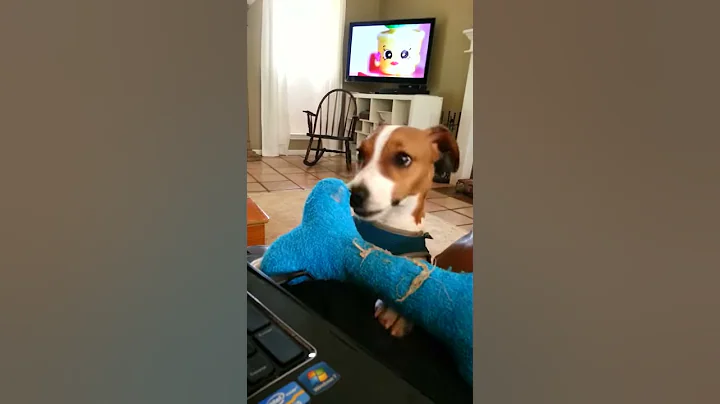 TV with Rudy