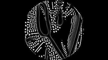 touchdesigner custom reaction-diffusion