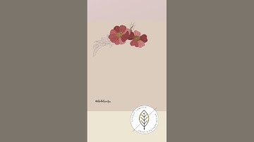 Sketch to Final Drawing: Floral Aesthetic Flower Drawing in Procreate on an iPad Pro.