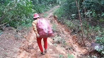 Yal che jrai hơri pơ ƀlih 8 / 2021 | su rang ƀĭ băng ha su gra ƀĭ băng mŏ | tìm quả  rừng lạ