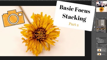Basic Focus Stacking - Using Photoshop to stack images - Part 2 of 3