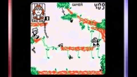 Game and Watch Gallery 3, Donkey Kong Jr. , Classic, Easy