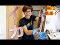 [解説]今から出来る！スルメイカの捌き方編