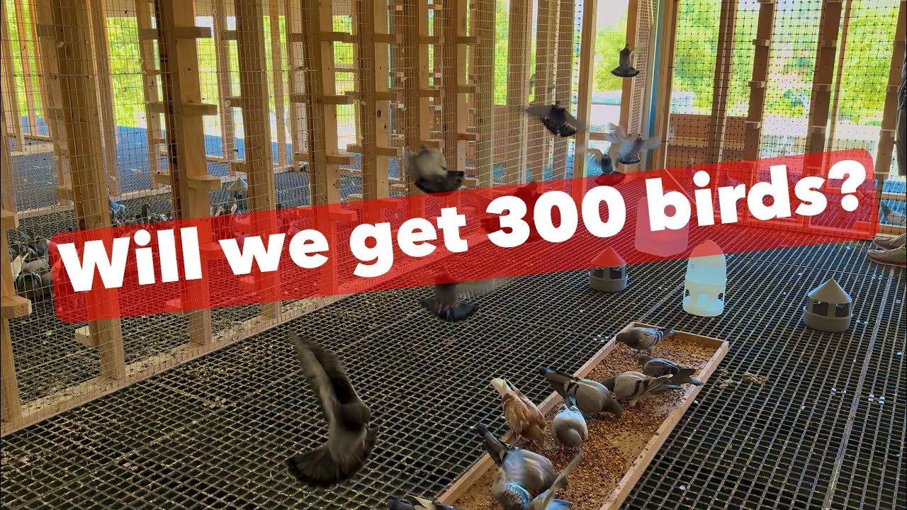 Monday the 30th is the last day to ship