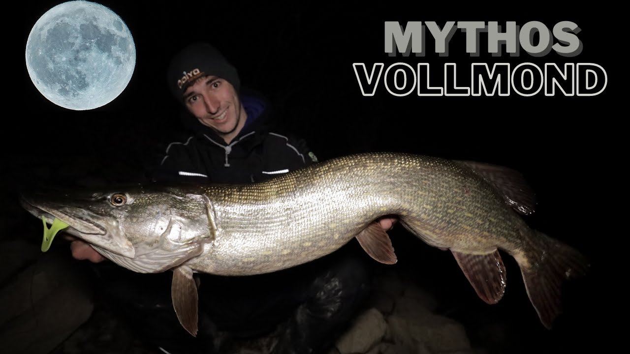 Riesen-Hechte in Vollmondnächten! | So geht's | Mit Big Baits auf dicke ...