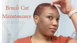 Women Bald Cut Hair Maintenance Routine