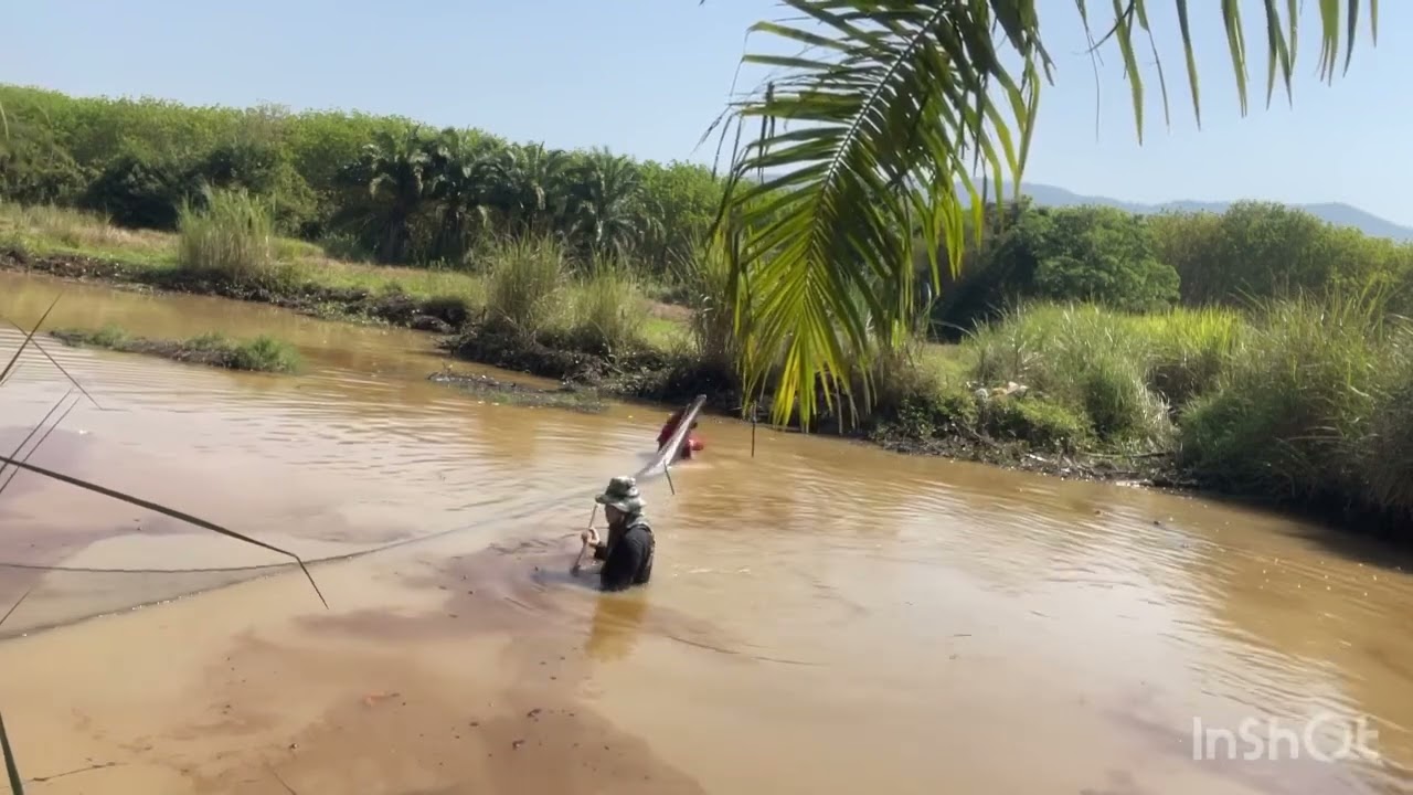 ร้อนๆแบบนี้มาหว่านแหกันครับ