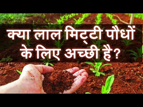 वीडियो: मिट्टी को लाल क्या बनाता है?