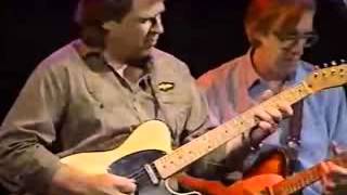 Danny Gatton   The simpsons chords