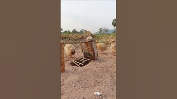 Create a Bird trap Technique - Quail trap #Amazing Bird Trap #short