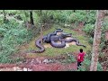 The  big fight crocodile vs anaconda in mudcreative craft 