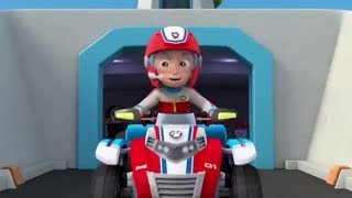 Paw Patrol Pups Save The Penguinspups Save A Dolphin Pup Part 1 - Paw Patrol Full Hd
