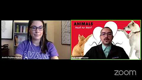 The Intersections of Animal Abuse/Cruelty and Domestic Violence