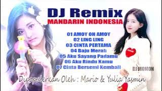DJ Remix Mandarin Indonesia Amoy Oh Amoy - Ling Ling