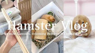 What Happened To My Hamsters &amp; Why I Closed My Shop | June 2023