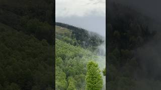 Dumanlı Yaylalar 🍀💚