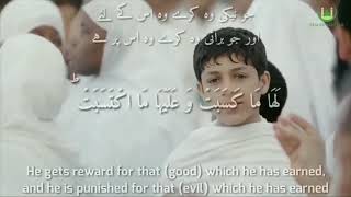 Last Two Ayats of Surah Bakarah against Sahir / Jadoo / Fitna ad dajjal ( Repeat for over 2 hours )